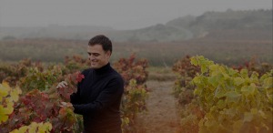 Rioja vineyards private tour