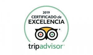 Certificado Excelencia TripAdvisor 2019