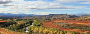 Fall colours in vineyards of Rioja Wine Area