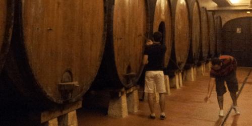 Cider house barrels in Astigarraga