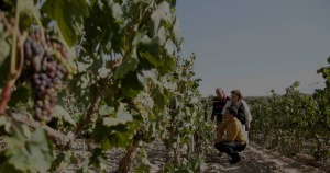 Aitor Delgado Basque Tours in Rioja wine luxury private tours