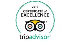 TripAdvisor Certificate Of Excellence-2019 Aitor Delgado Tours