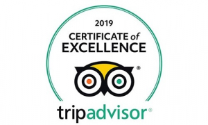 2019 Certificate of Excellence by Tripadvisor to Aitor Delgado Tours 