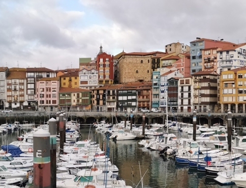Selection of the Basque Culture Highlights in February 2022