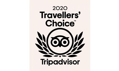 2020 Travellers' Choice by Tripadvisor to Aitor Delgado Tours 